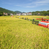 加强农村文化建设 助力乡村全面振兴