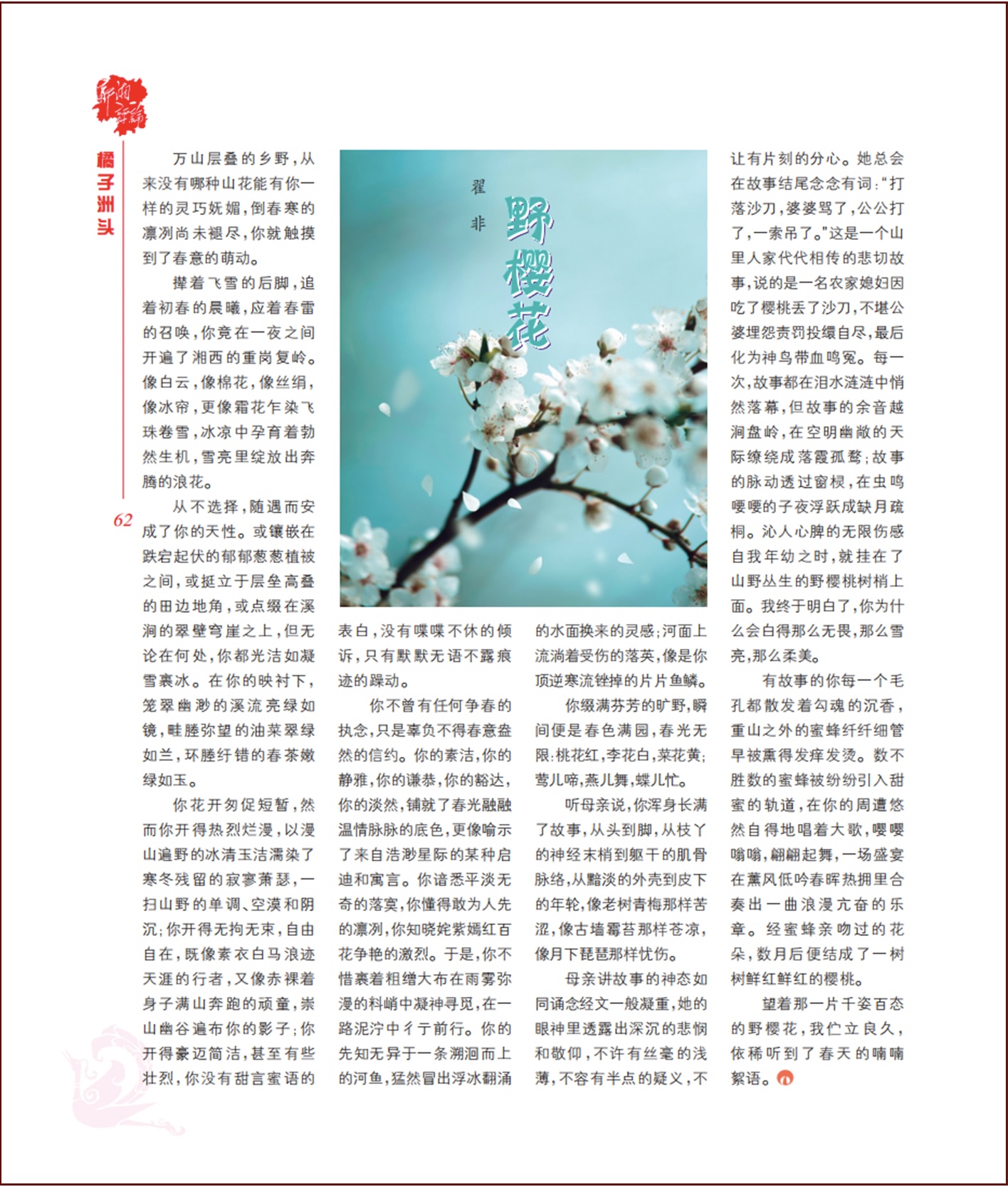野樱花.jpg