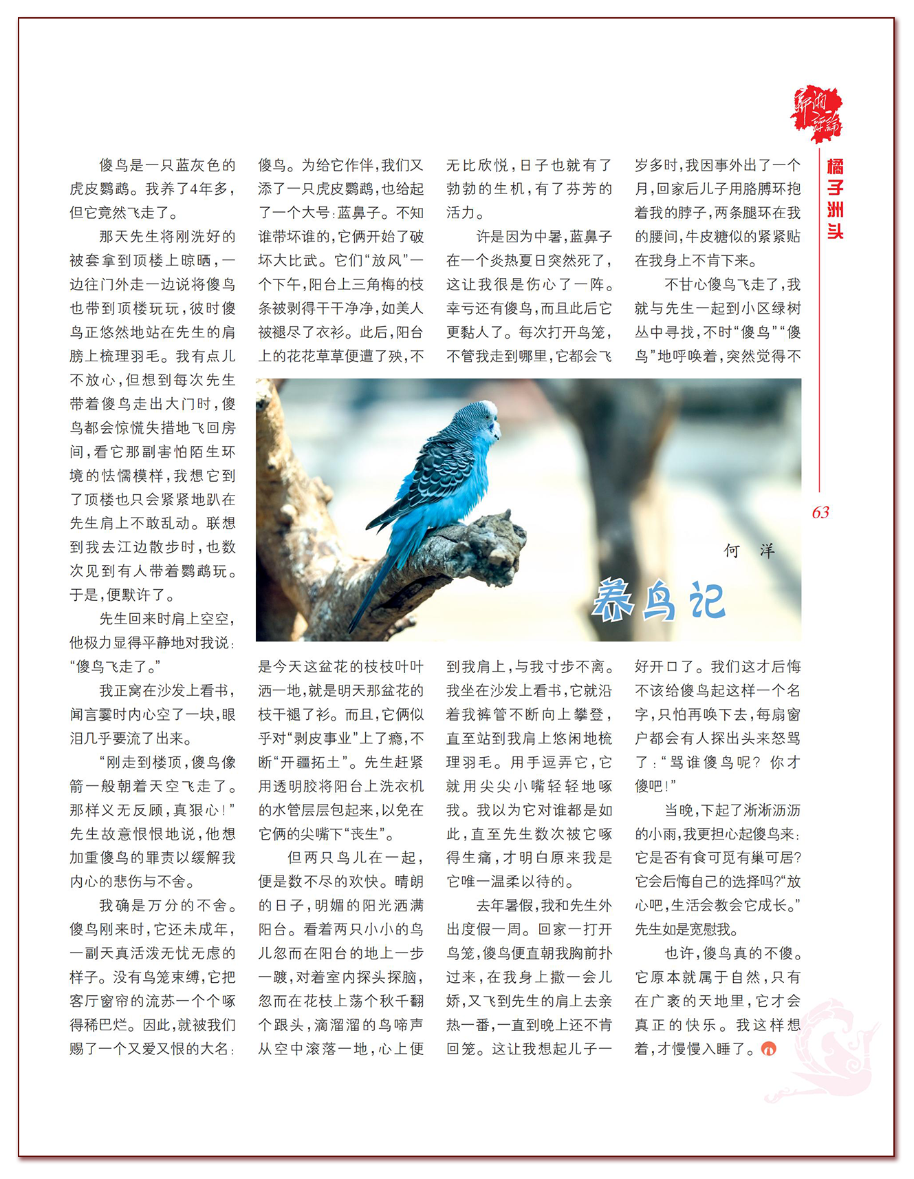 养鸟.png