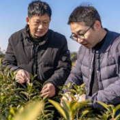 帮出真本领 带出好作风——浙江在农村基层干部中推行“导师帮带制”十六年