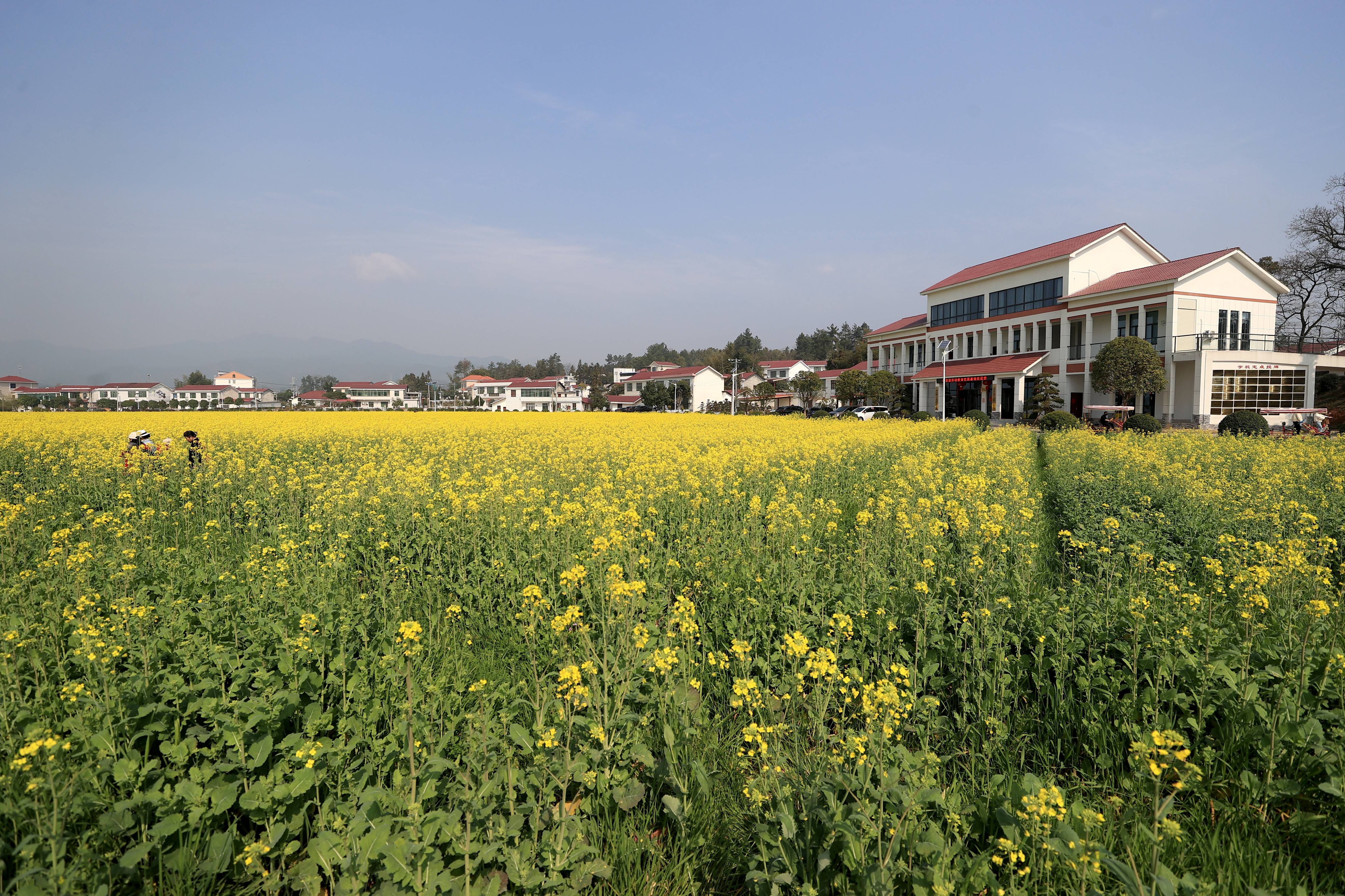 梅田湖村（王登摄）(1).jpg