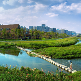 大隐圭塘河
