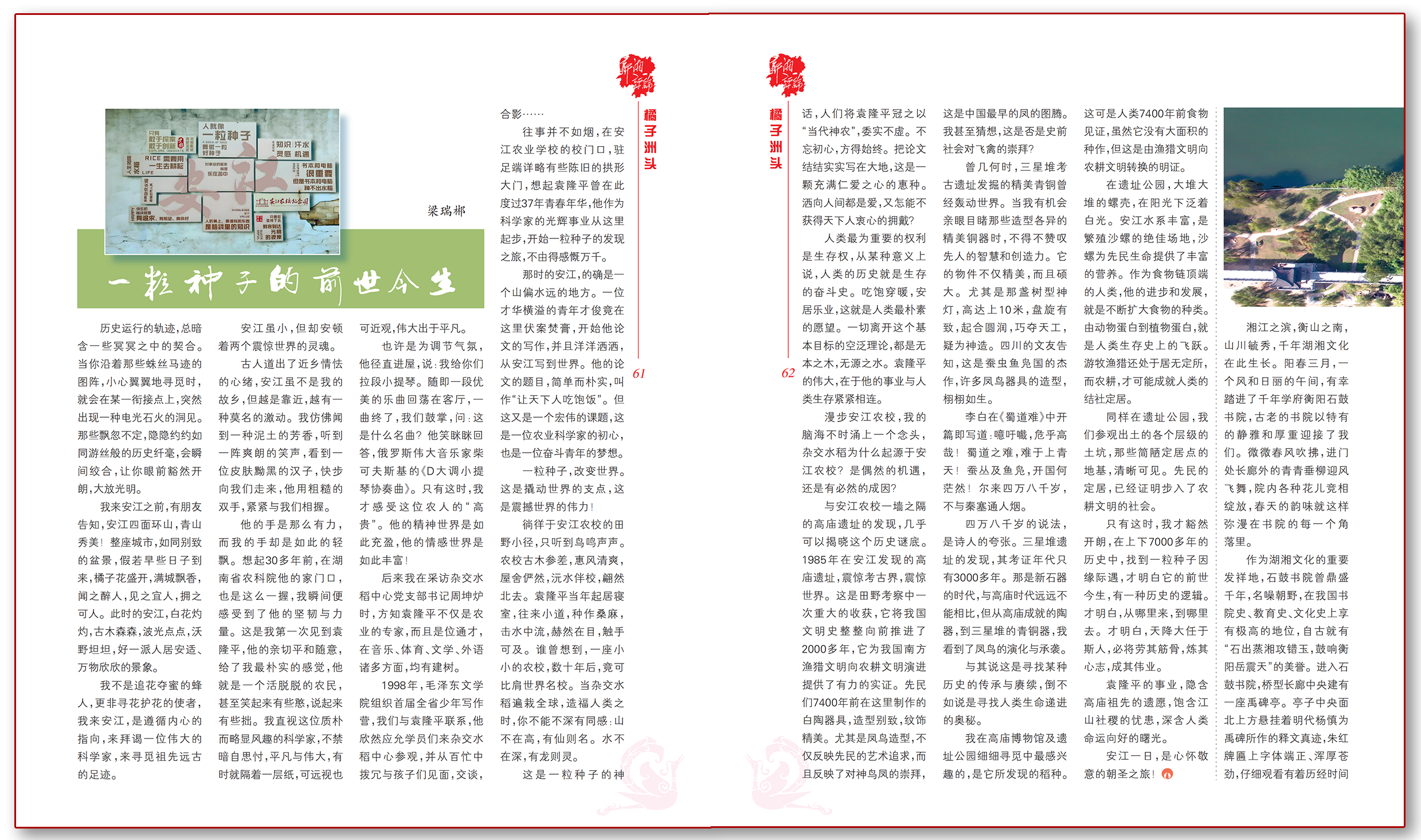 一粒种子的前世今生.png