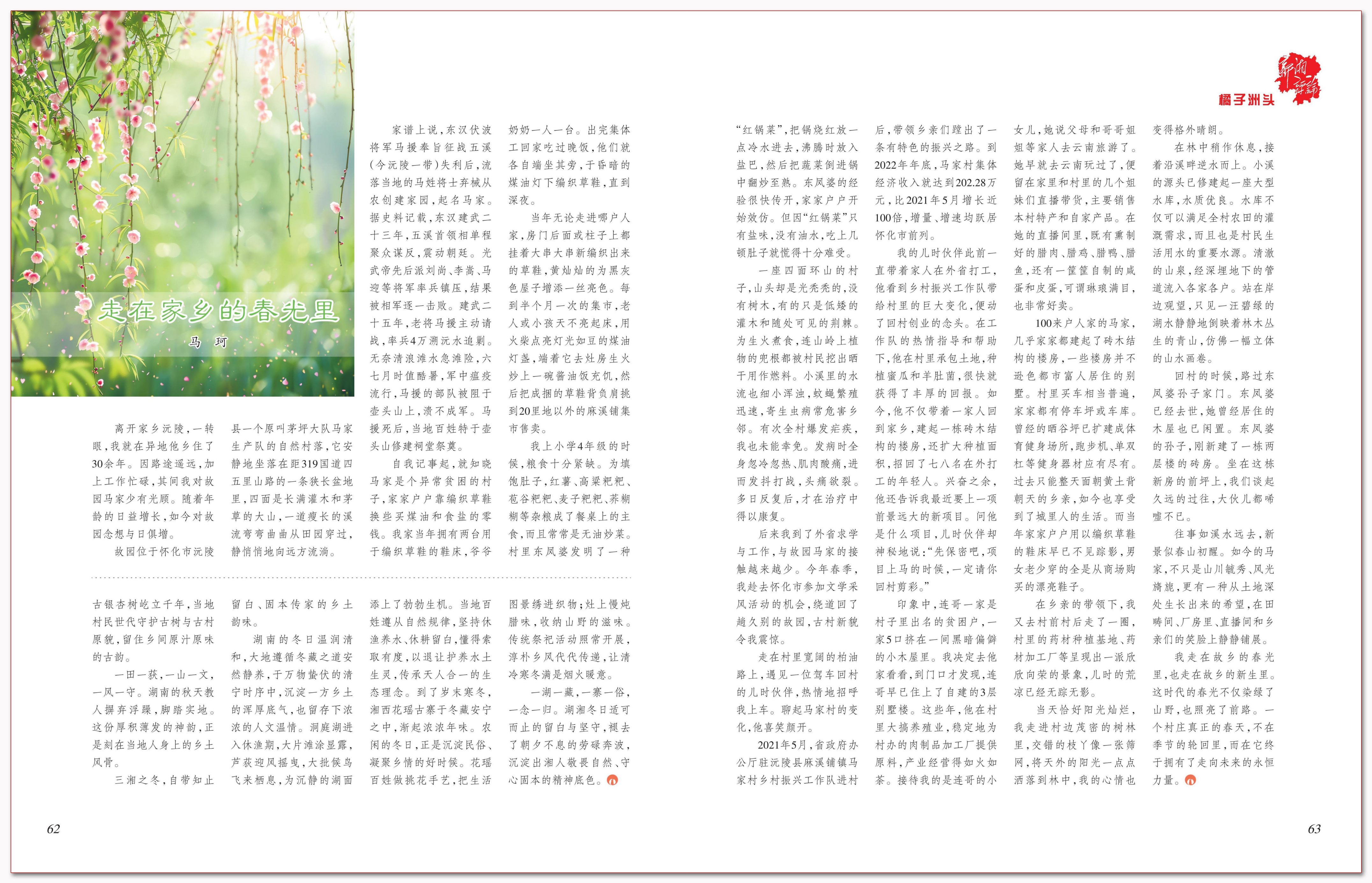 走在家乡的春光里.png