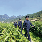 党建业务深融合 公安工作提质效