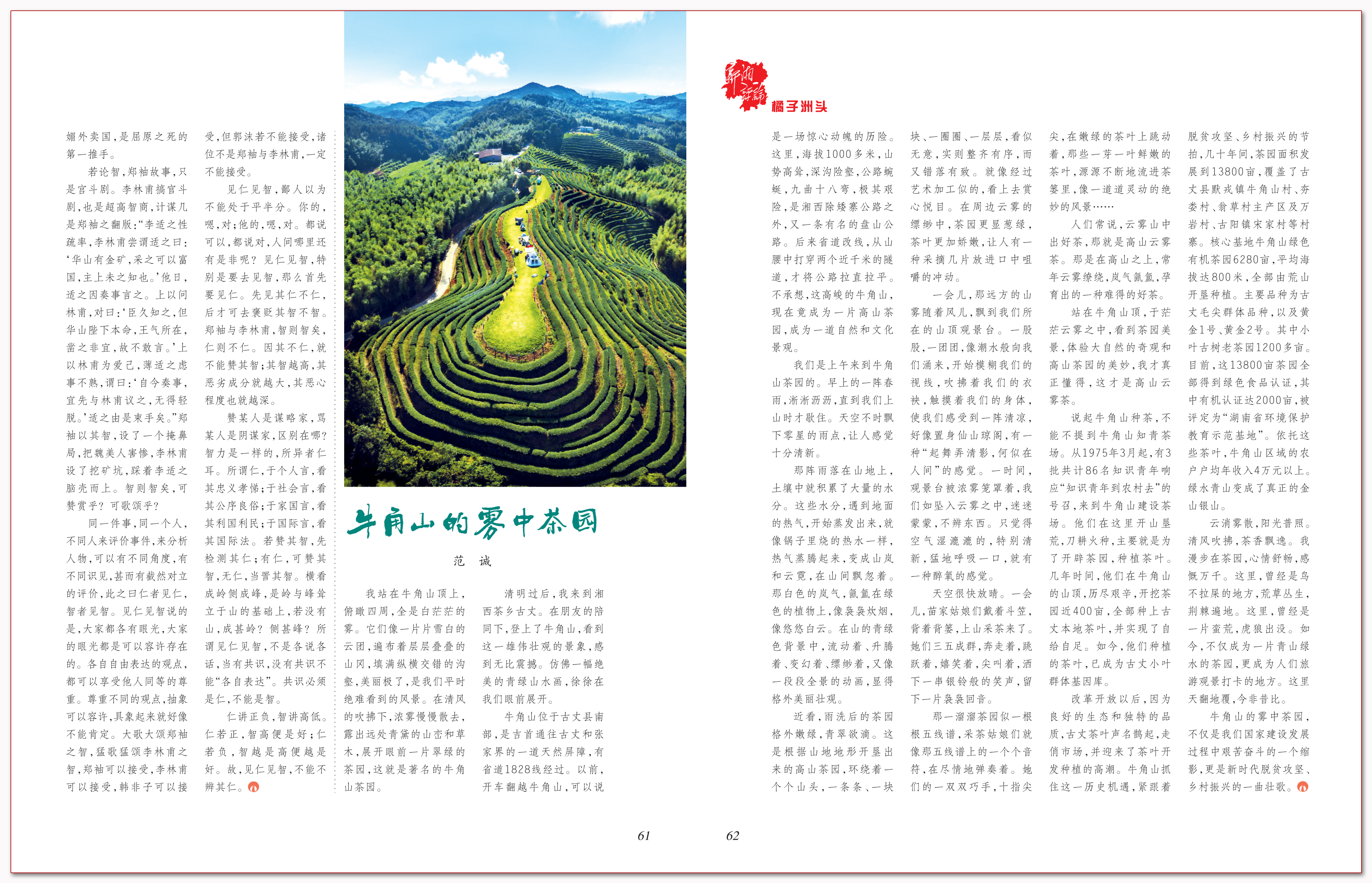 牛角山的雾中茶园.png
