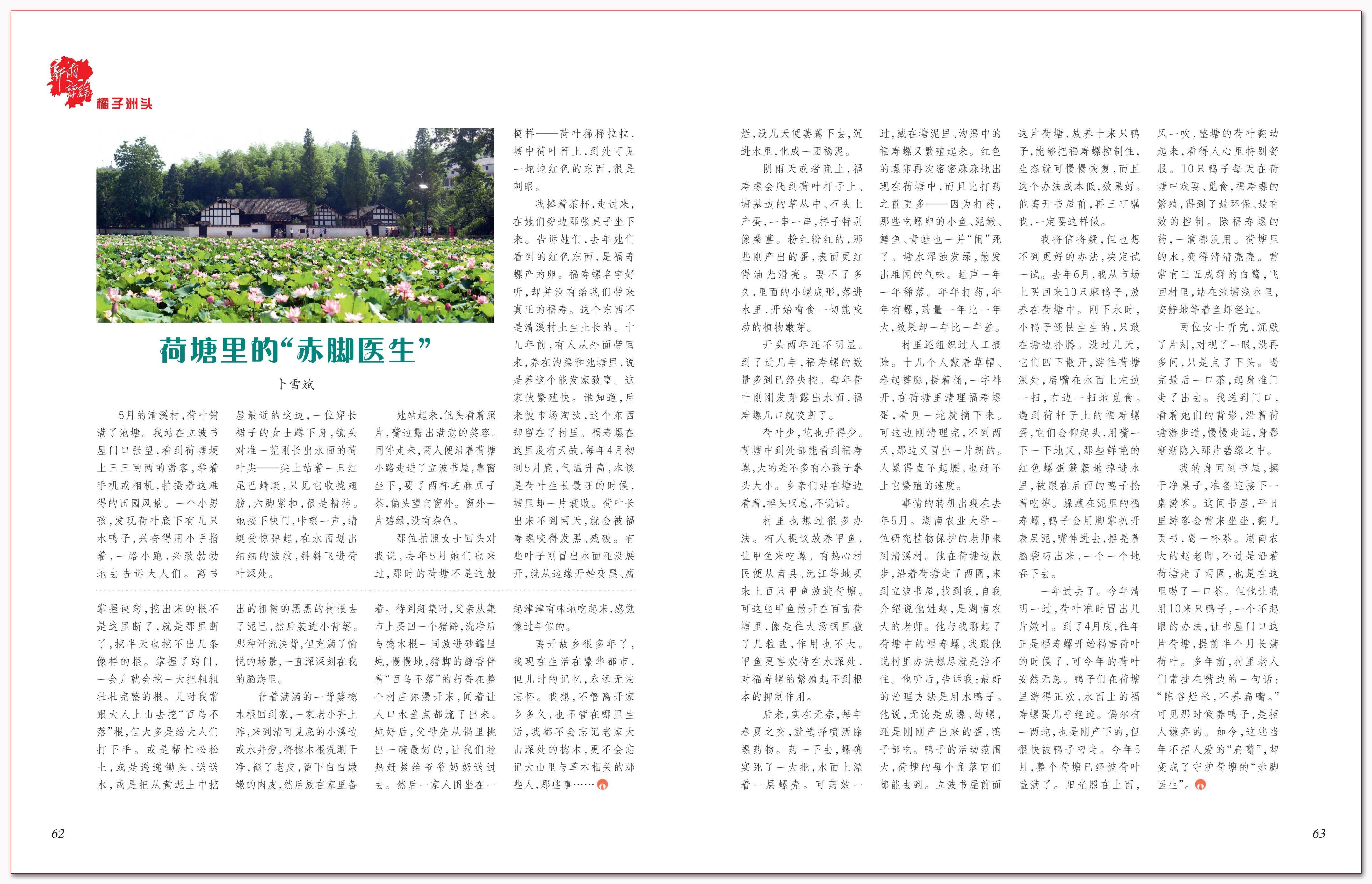 荷塘里的“赤脚医生”.png 荷塘里的“赤脚医生”.png