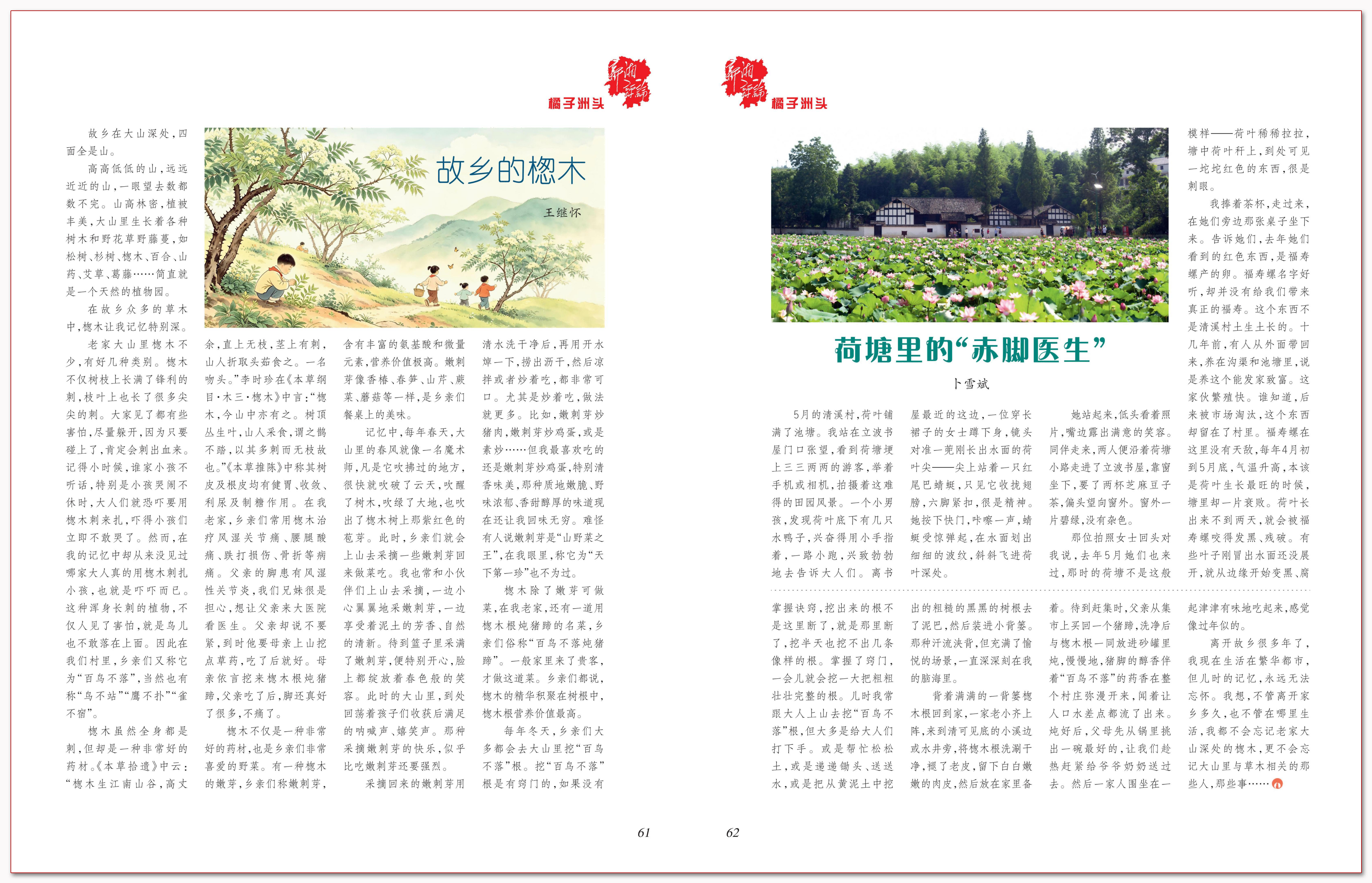 故乡的楤木.png 故乡的楤木.png