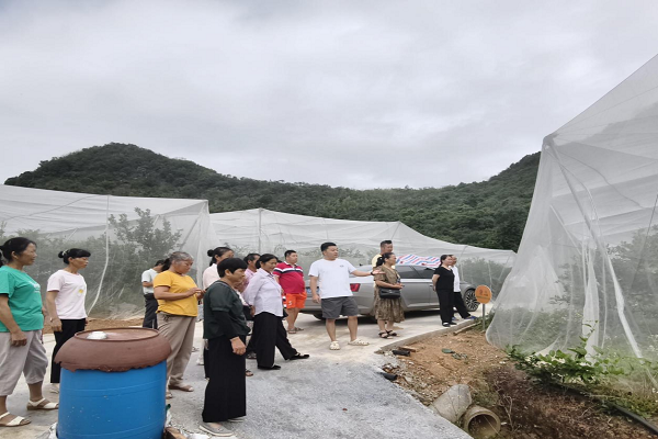 马鹿头村组织家庭“当家人”参观学习柑橘高质量发展，共绘乡村振兴新篇章