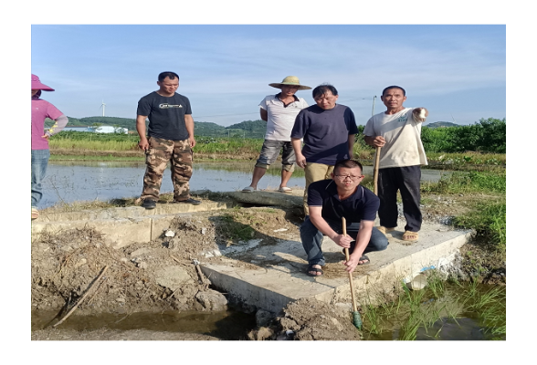 回龙圩管理区 “党小组+”巧解“死结”
