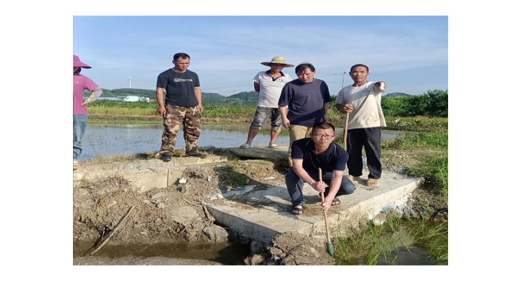 回龙圩管理区 “党小组+”巧解“死结”