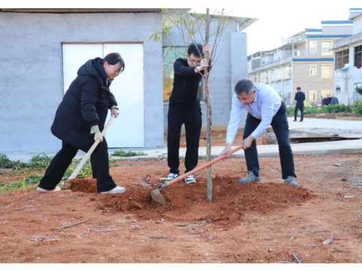 回龙圩：春季植树正当时 干群合力添新绿