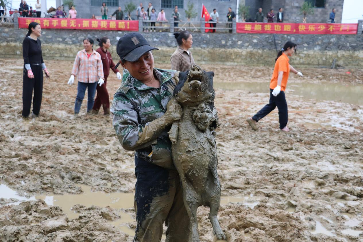 图片38.png