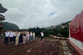 誓言映初心 葡萄架下践使命——回龙圩管理区党政办支部赴八仙洞开展主题党日活动