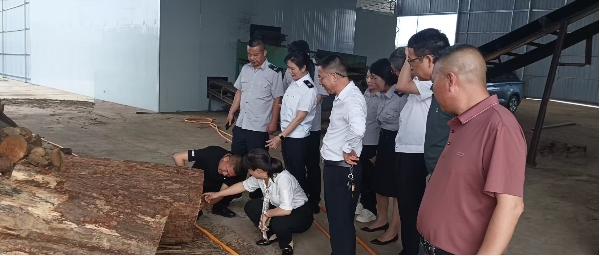 图片2_副本.jpg