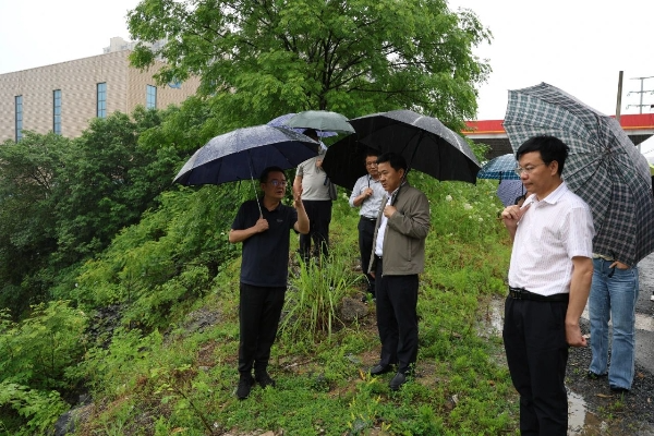 蒋强先率队到冷水滩区开展“法治护绿人大行”执法检查