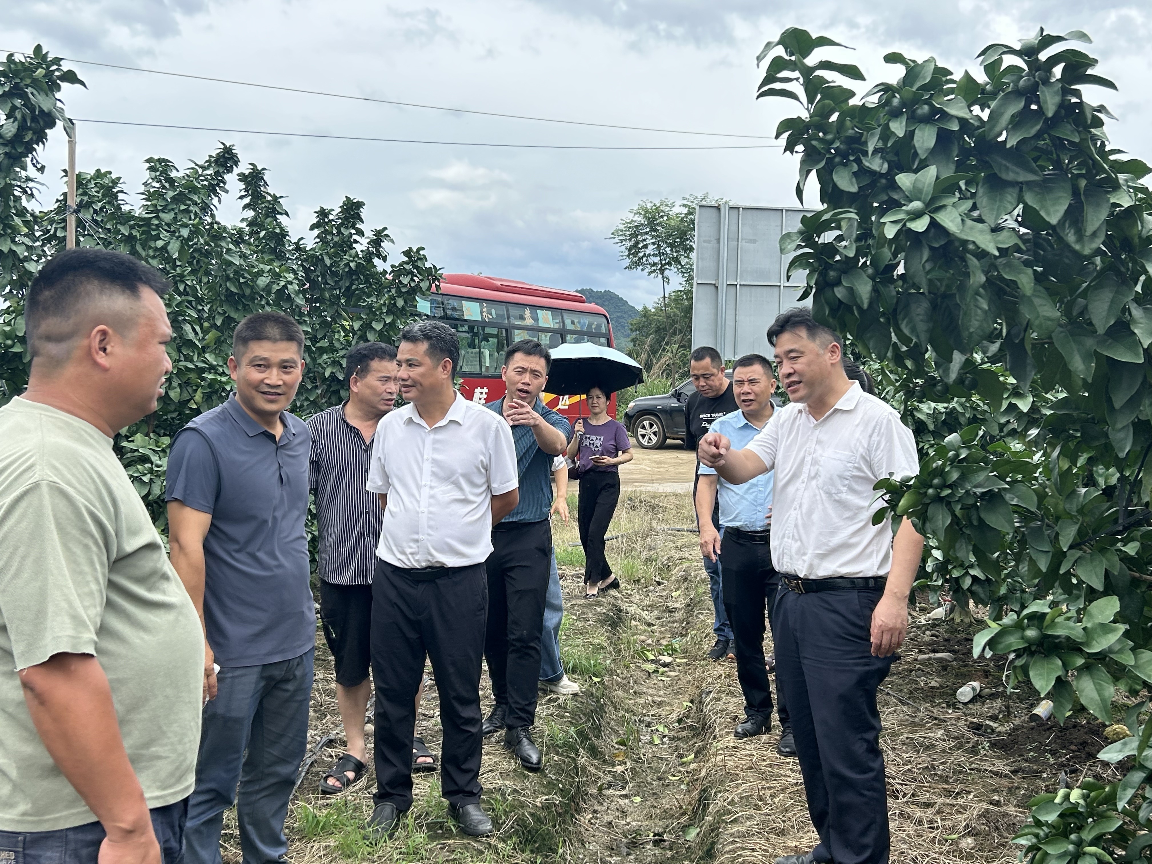 图片3_副本.jpg