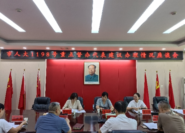 龙飞凤督办重点代表建议 全力打通民族地区乡村通邮“最后一公里”
