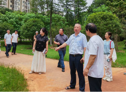 蓝山人大：黄哲章督办重点代表建议.png
