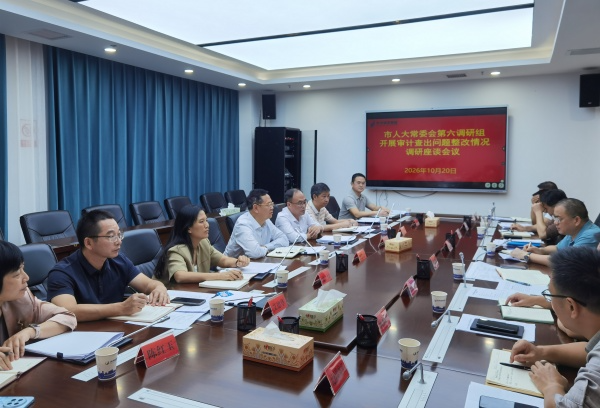 龙向洋带队开展2025年度审计查出问题整改调研