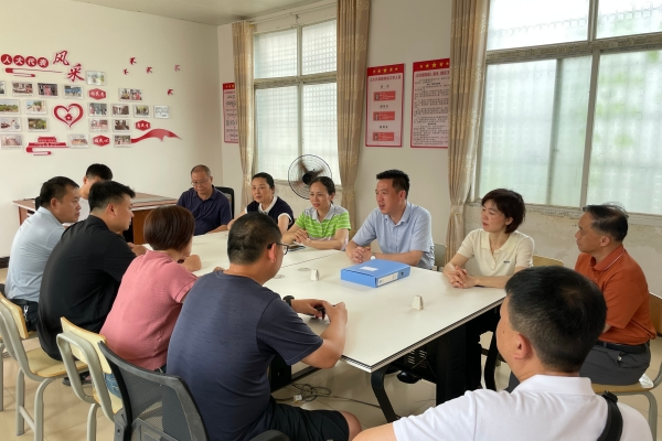市人大民侨外委到蓝山县新圩镇督办代表建议办理工作