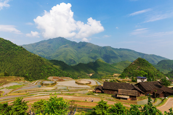 近年来，东安县结合野生茶产业发展实际，着力优化提升梯田独特景观，推动茶旅融合不断深化。_副本.jpg