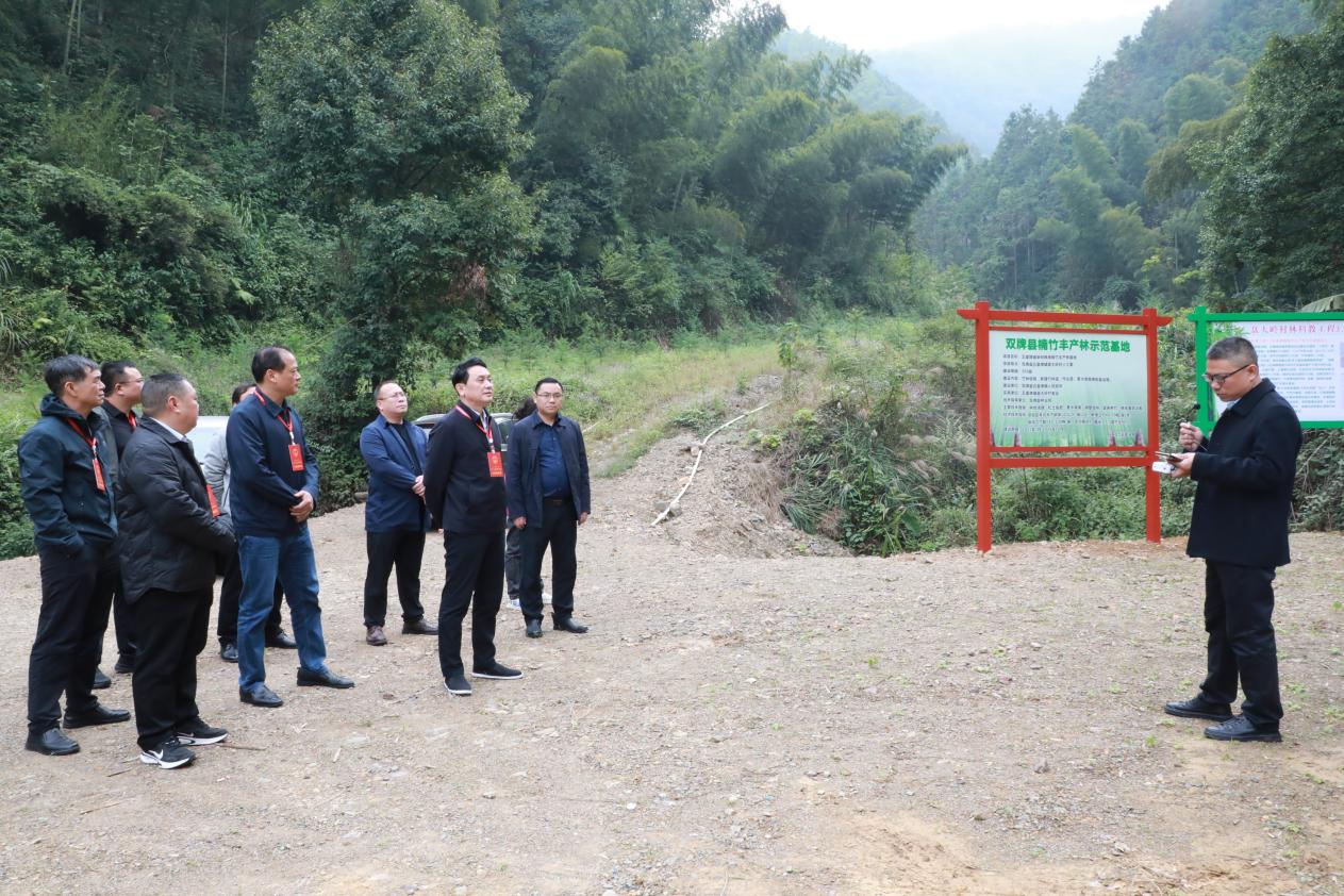 图片5.jpg 图片5.jpg