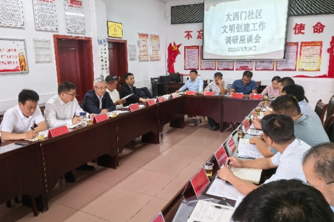 吴剑林调研文明创建工作