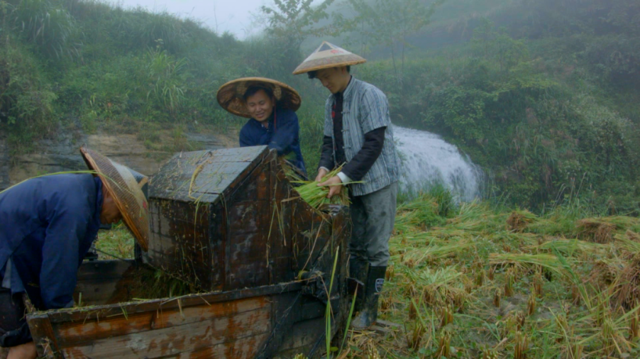 【代表风采】刘志秋：“湘西小牛”的家乡振兴梦——返乡入农携民富，履职尽责寻创新