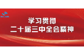 在法治軌道上深化改革挺膺擔(dān)當(dāng)——省人大各專(zhuān)門(mén)委員會(huì)、常委會(huì)辦事機(jī)構(gòu)、工作機(jī)構(gòu)主要負(fù)責(zé)人熱議三中全會(huì)精神