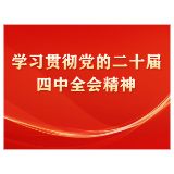 主任谈 | 学习贯彻党的二十届四中全会精神（一）