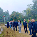 湘乡市:四年持续擦亮法治利剑,守护万家安宁