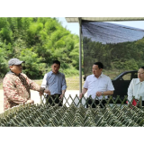 中方县：代表建议从田埂间生根发芽