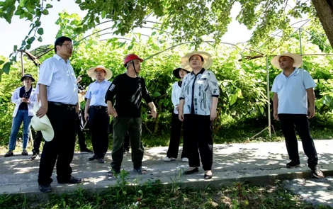 吉首马颈坳镇：“1234”工作法让民主扎根田间地头