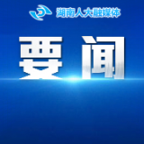习近平就建设更高水平平安中国作出重要指示