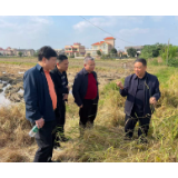 代表履职在田埂    “点草成金”助农富