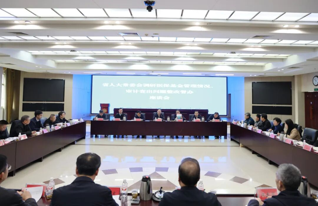 张剑飞带队调研医保基金管理情况并督办审计查出问题整改