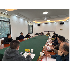 代表工委党支部开展11月主题党日活动