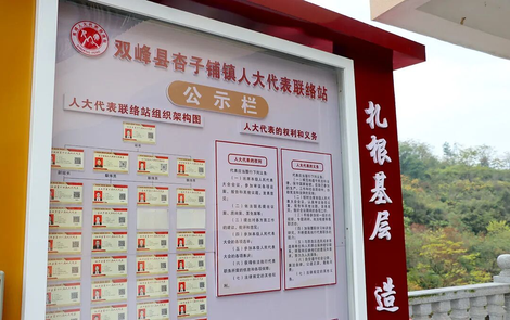 杏子铺镇：打造基层人大履职的“特色样本”