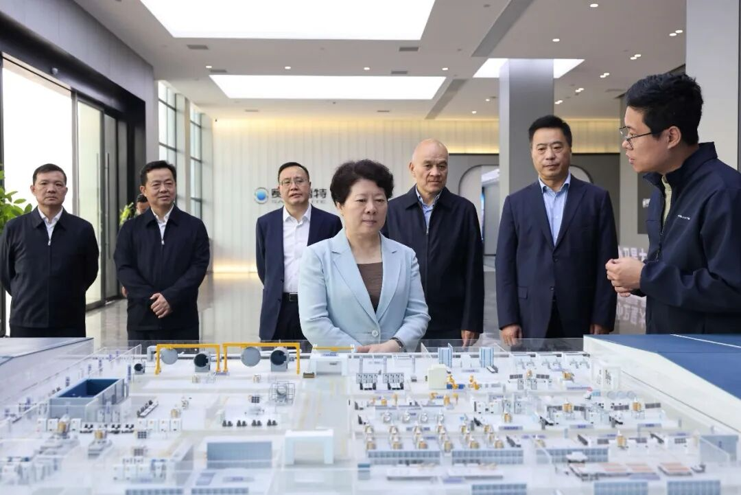 吴桂英在株洲市调研