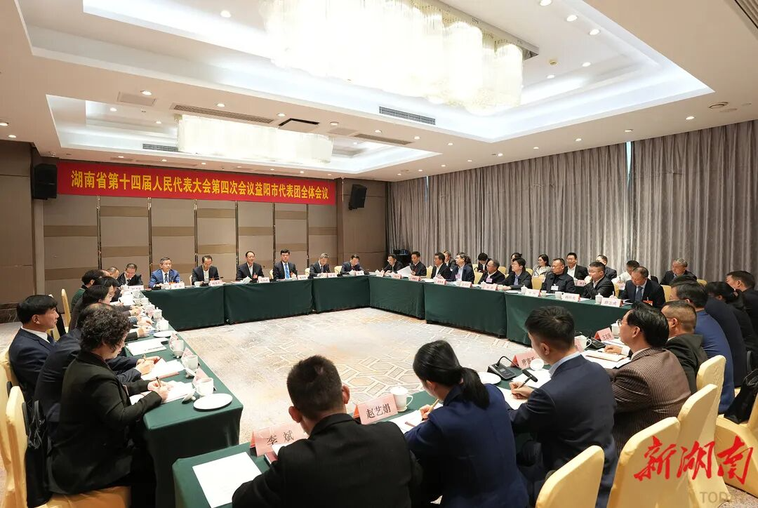 毛伟明参加益阳市代表团审议