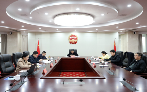 学习贯彻全国两会精神 | 学深悟透  推动全国两会精神落地落实  岳阳市人大常委会党组理论学习中心组举行集体（扩大）学习