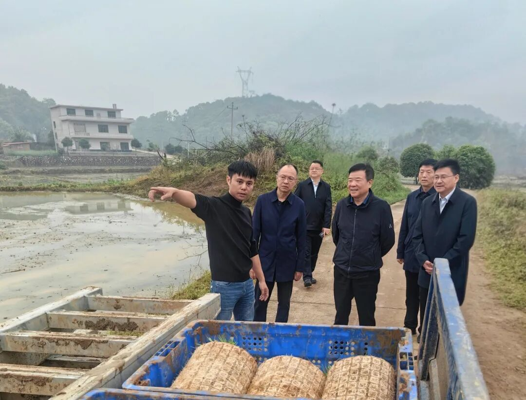 陈飞赴娄底市调研春耕生产和高标准农田建设情况
