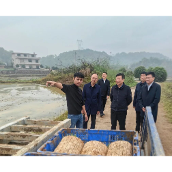 陈飞赴娄底市调研春耕生产和高标准农田建设情况