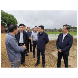 陈飞赴岳阳调研农业农村综合工作、督办重点处理建议并开展代表小组活动