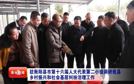 4年开展51次活动，这个代表小组是如何做到的？