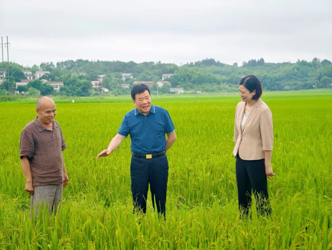 陈飞率队赴株洲调研并督办重点处理建议时强调：筑牢湘江治理防线  夯实粮食安全根基  培育低空经济胜势