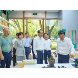 杨浩东督办重点处理建议时强调：放大优势 盘活资源 打造城市更新示范标杆