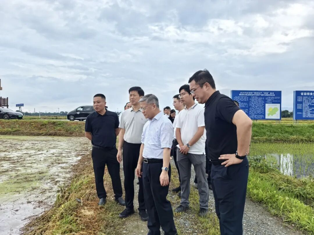 胡旭晟率队赴浏阳市沙市镇东门村开展乡村振兴调研活动