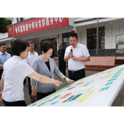 吴桂英在常德市开展执法检查